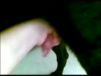 Dog got masturbated by beastie gal